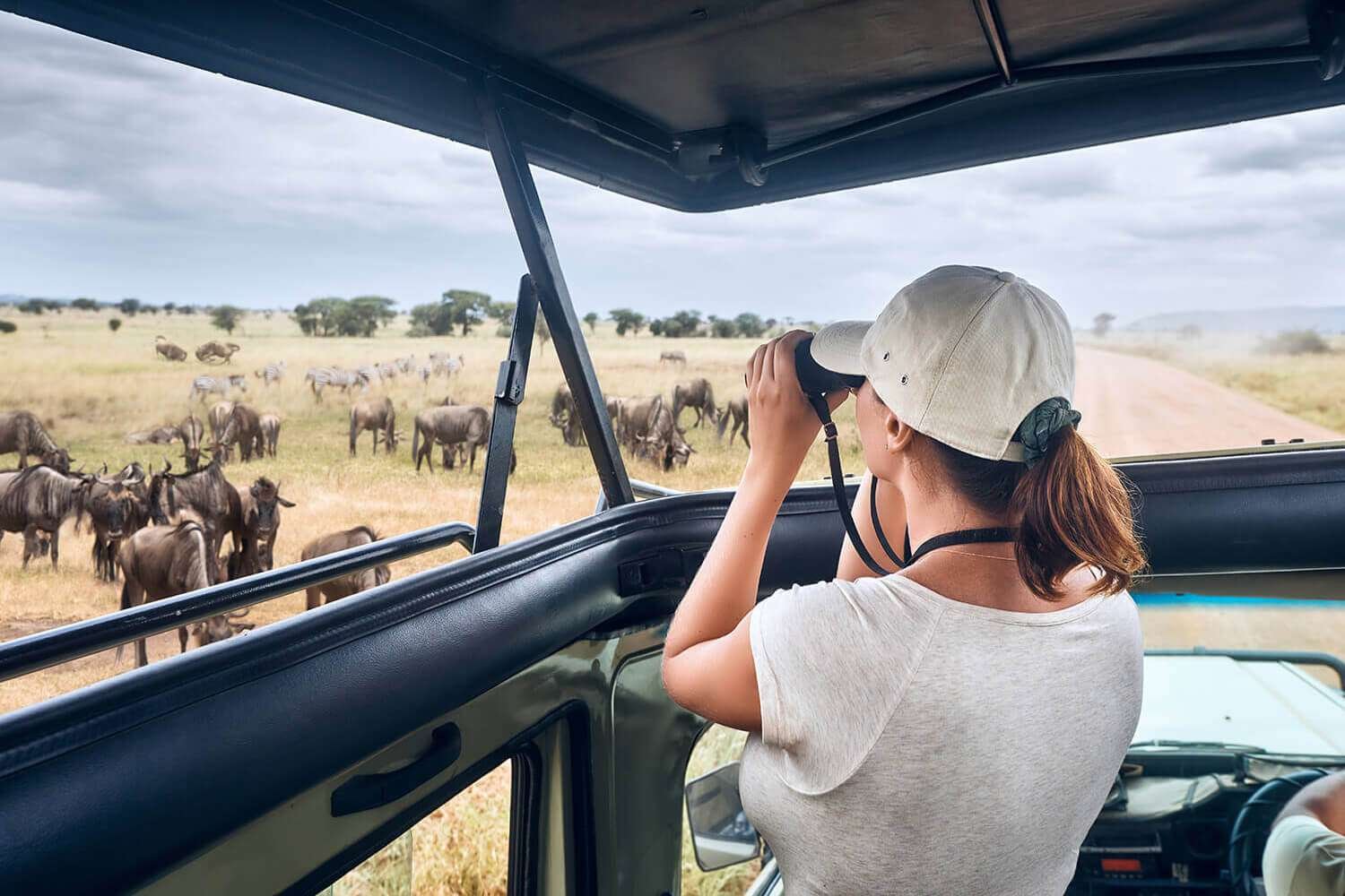 SerengetiSafari